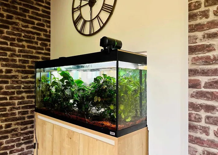 Hébergement de vacances La Montbourgeoise Stylish House Close To The Town Center